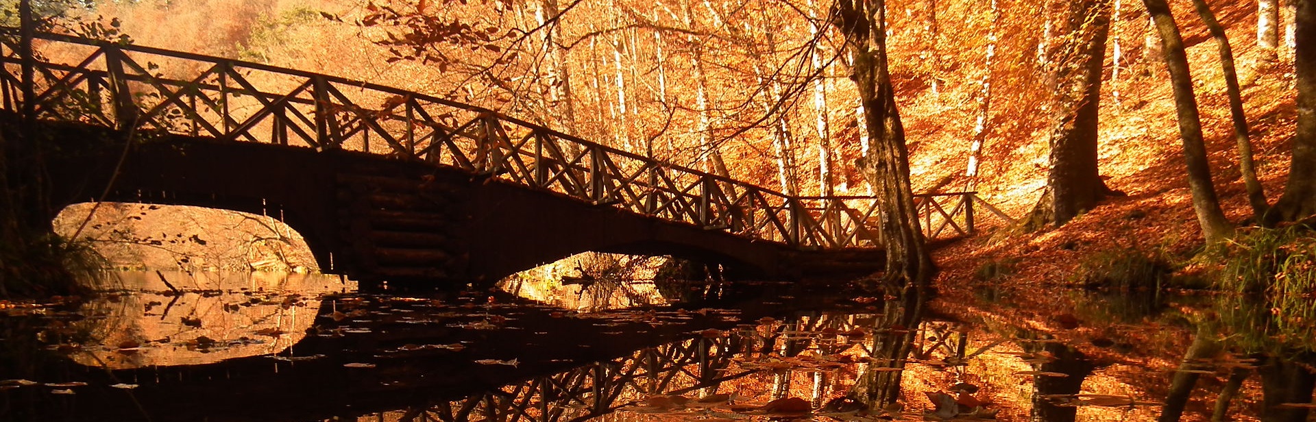 Bolu 7 Göller